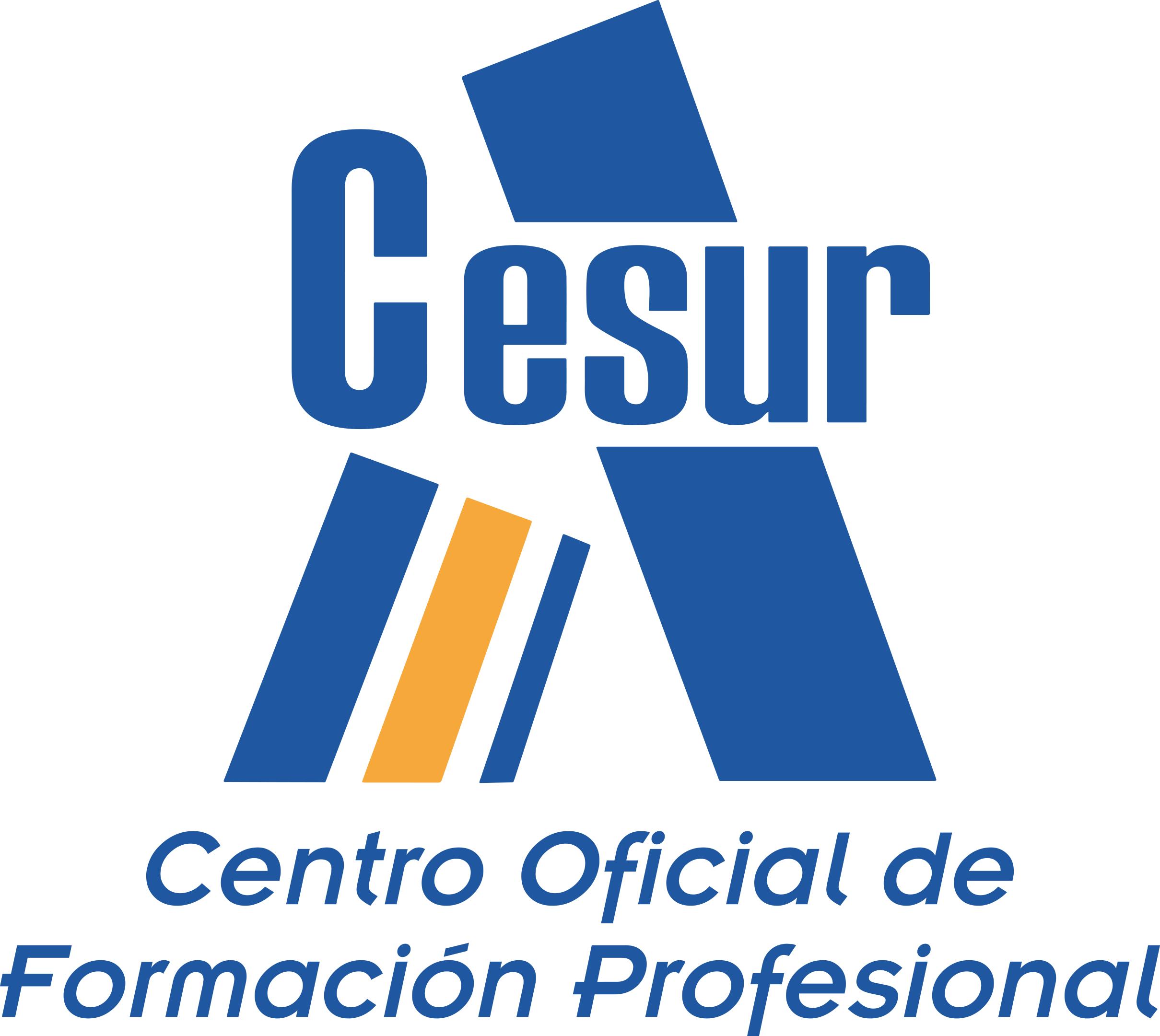 LOGO-cesur